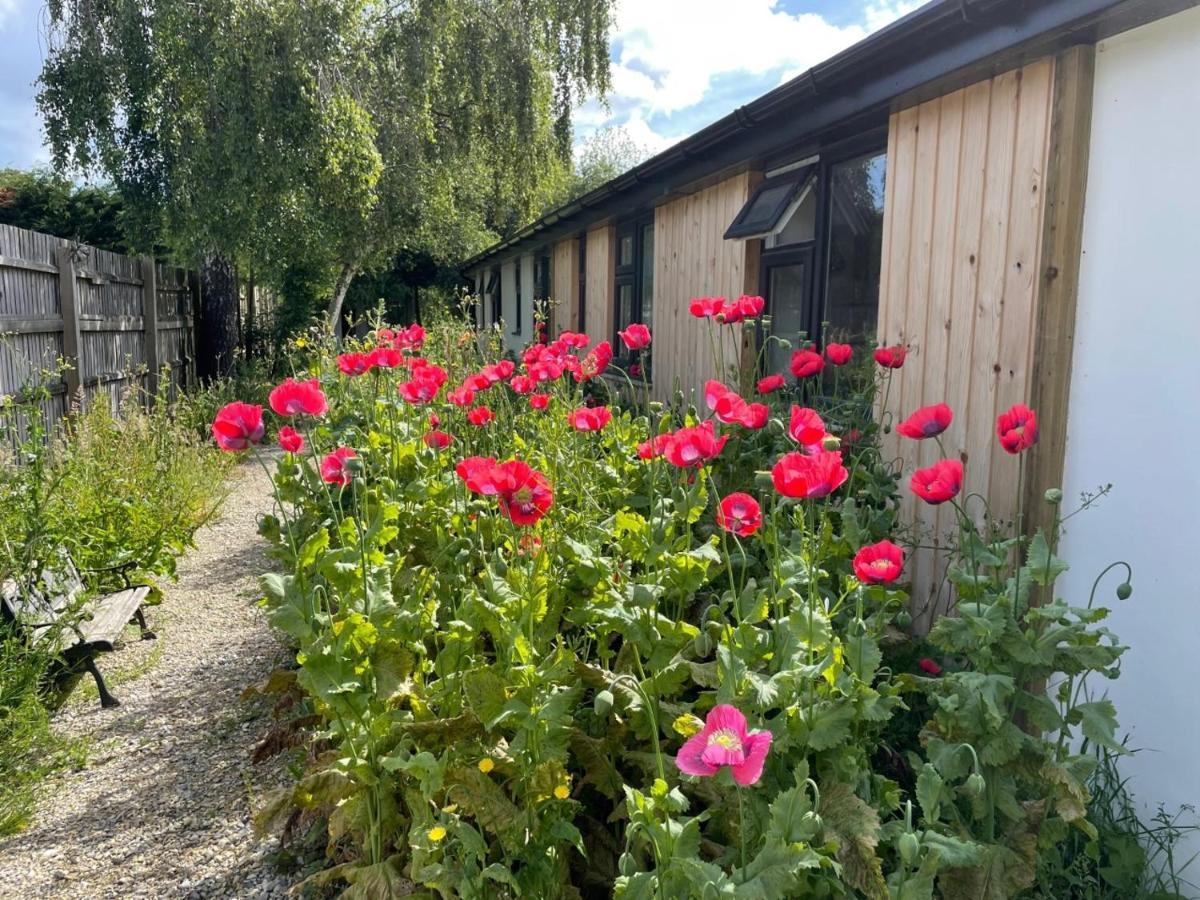 The Bearded Goat Den - A Rural Retreat At This Modern Holiday Cottage Saint Leonards Exterior photo
